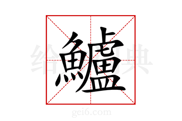 鱸