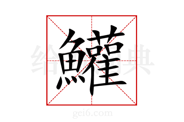 鱹