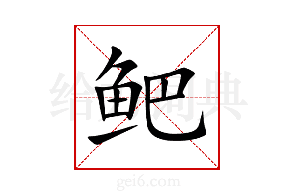 鲃