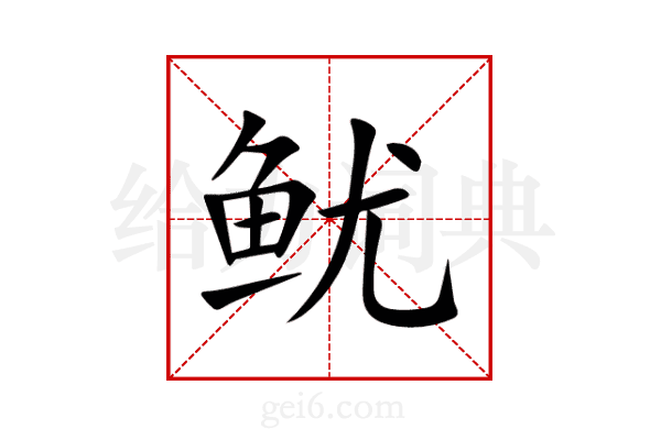 鱿