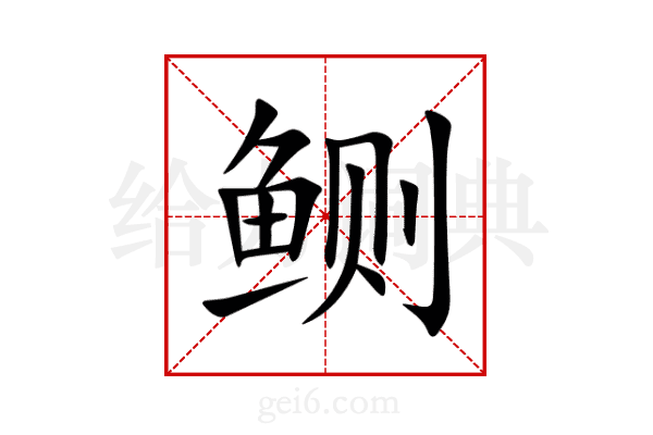 鲗