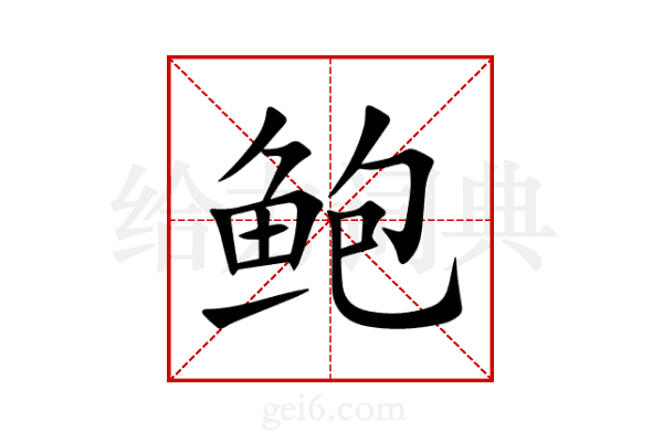 鲍