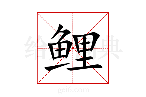 鲤