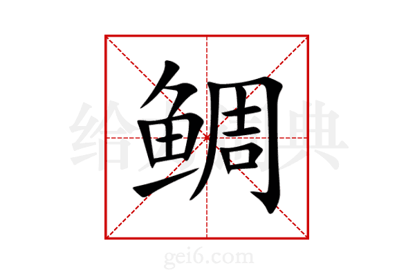 鲷