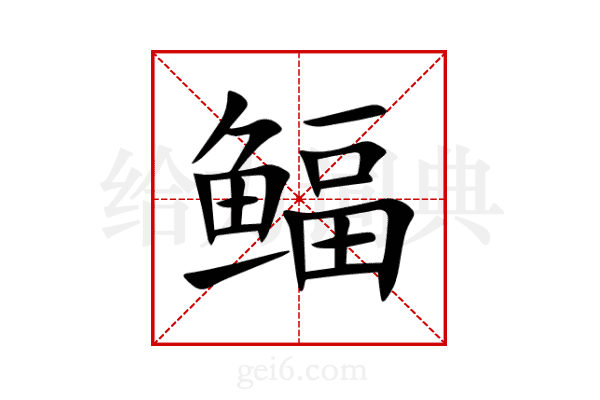 鲾