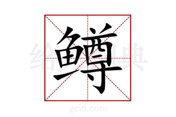 鳟