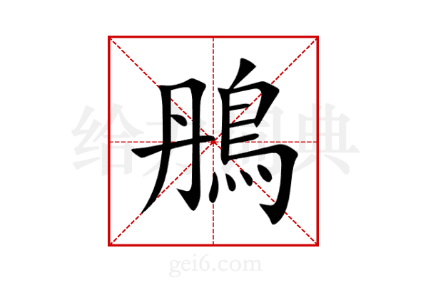 鴅