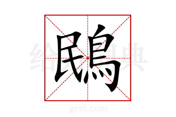 鴖