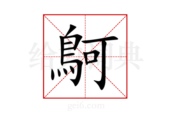 鴚