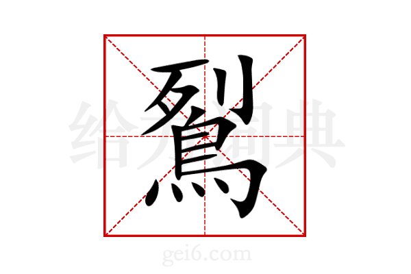 鴷