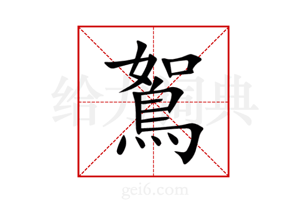 鴽