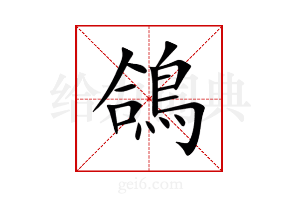 鴿