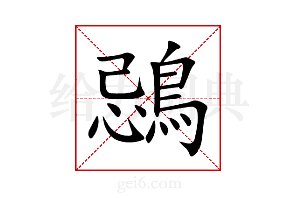鵋