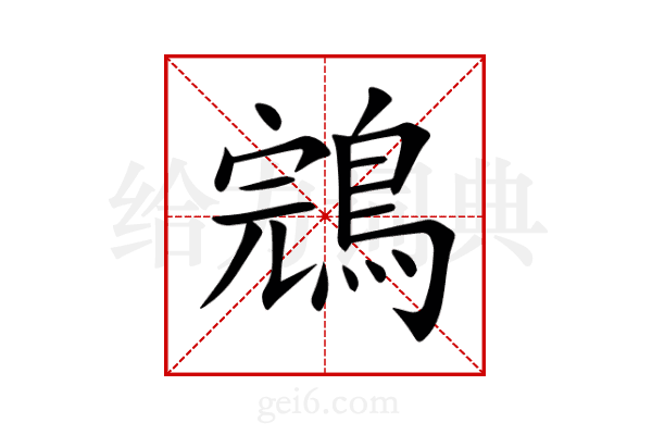 鵍