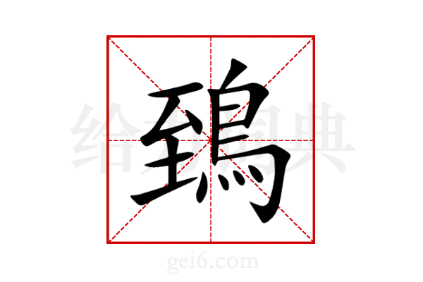 鵄