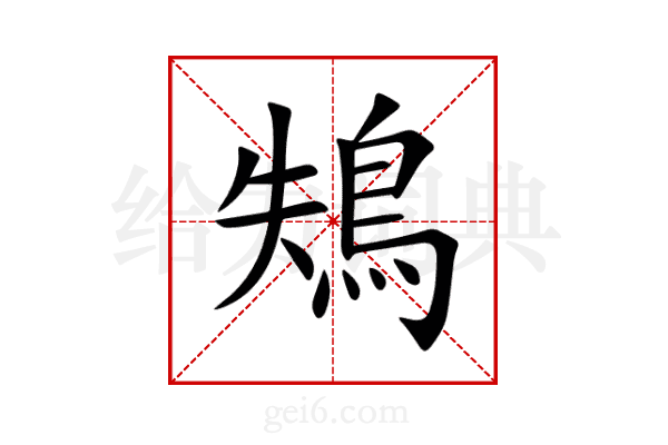 鴩