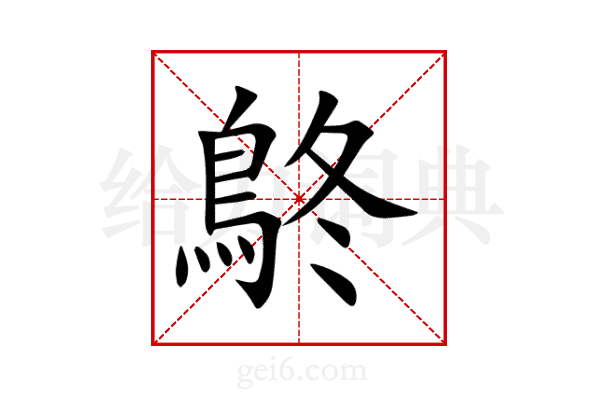 鴤
