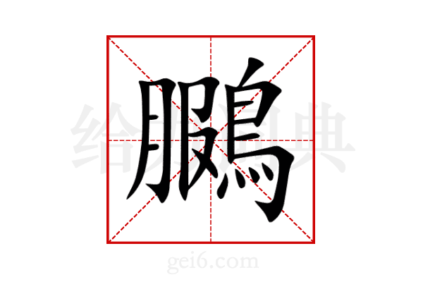 鵩