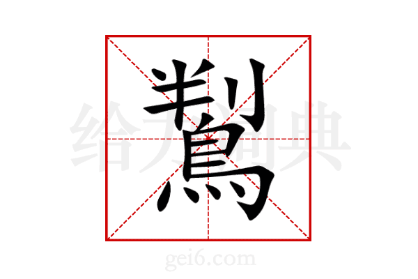鵥
