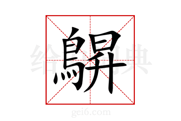 鵿