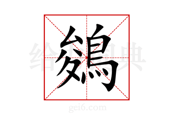 鵕