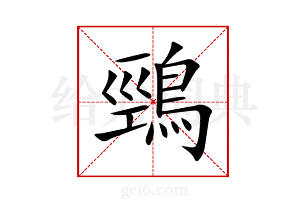 鵛
