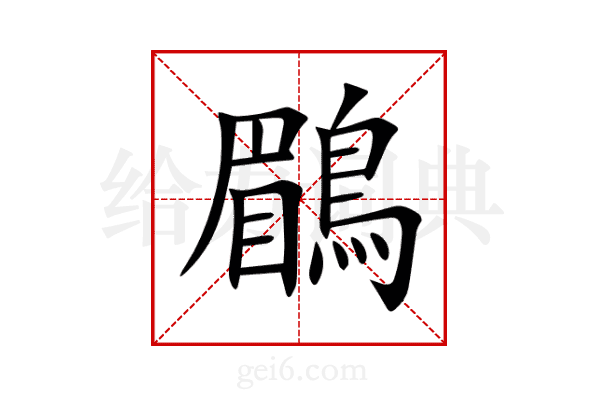 鶥