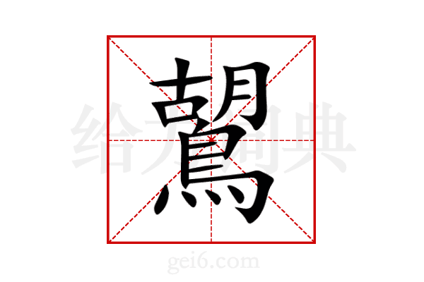 鶦