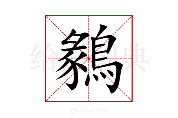 鶨
