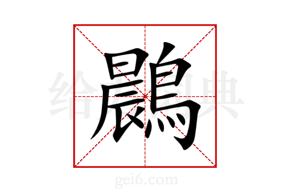 鷐