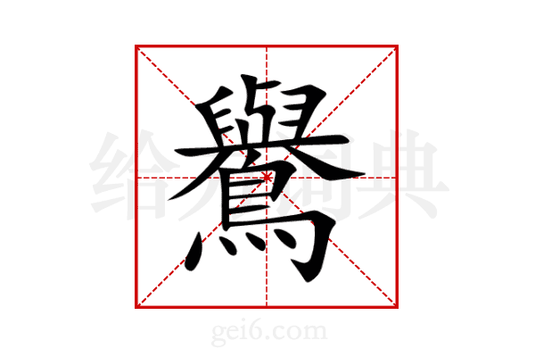 鸒