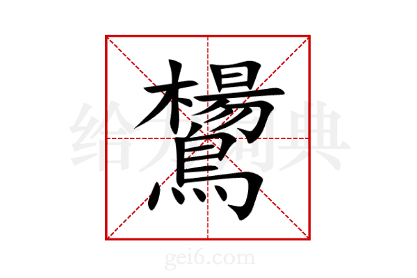 鸉