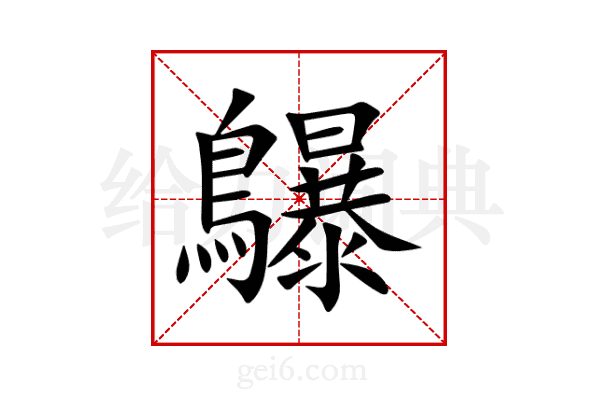 鸔