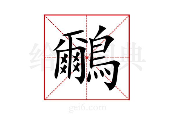 鸍