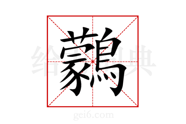 鸏