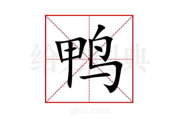 鸭