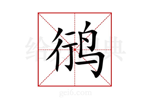 鸻