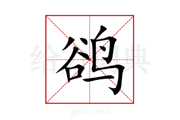 鹆