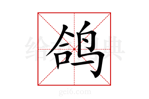 鸽