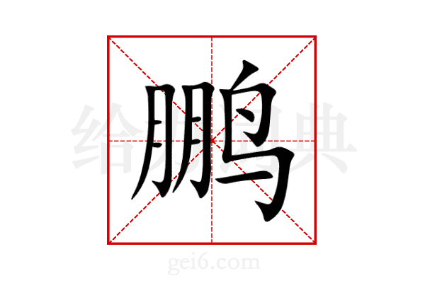 鹏