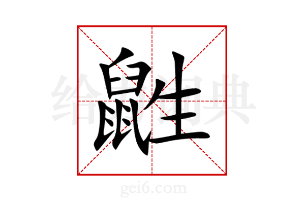 鼪
