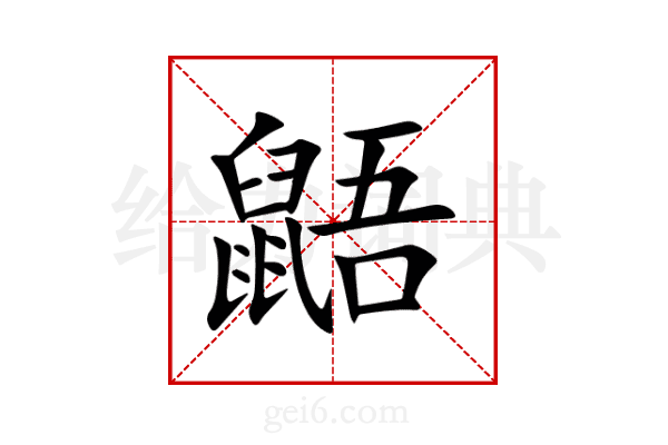 鼯