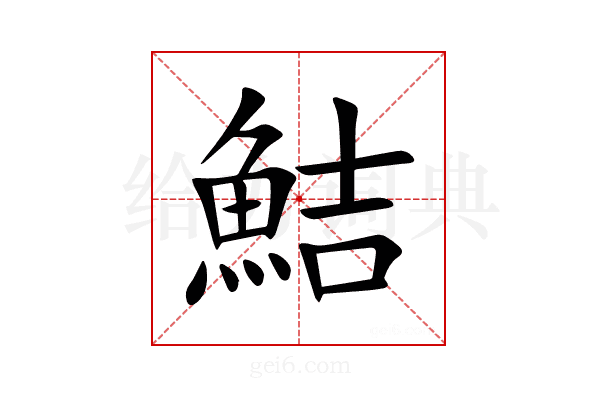 鮚