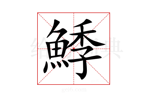 鯚