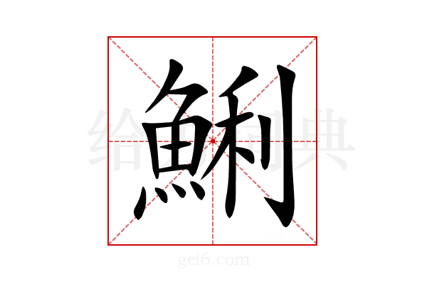 鯏