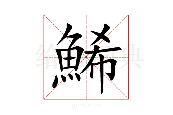 鯑