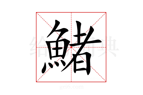 鯺