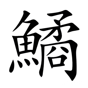 鱊