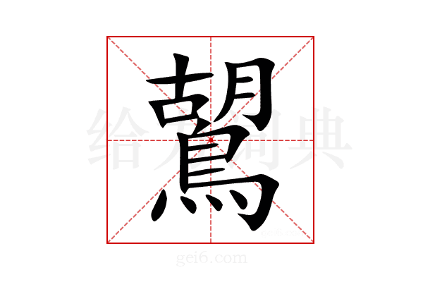 鶦