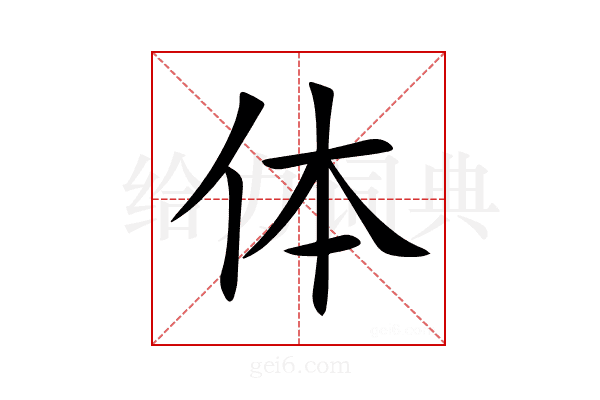 体